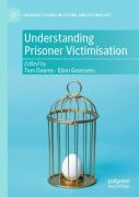 Understanding Prisoner Victimisation