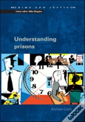 Understanding Prisons: Key Issues In Policy And Practice