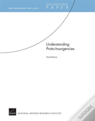 Understanding Proto-Insurgencies
