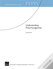 Capa do artigo Understanding Proto-Insurgencies