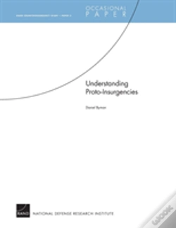 Capa do artigo Understanding Proto-Insurgencies