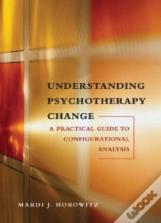 Understanding Psychotherapy Change