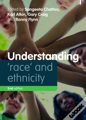 Capa do artigo Understanding 