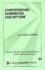 Understanding Regression Assumptions - Preview