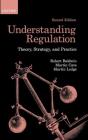 Understanding Regulation - Preview