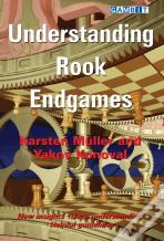 Understanding Rook Endgames