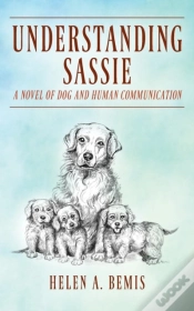 Capa do artigo Understanding Sassie