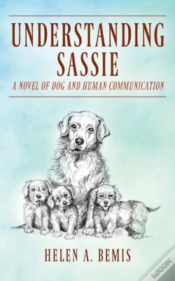 Capa do artigo Understanding Sassie