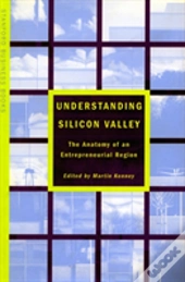Understanding Silicon Valley