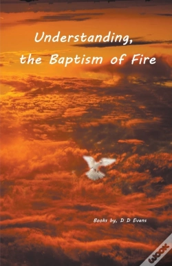 Capa do artigo Understanding The Baptism Of Fire