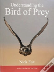 Capa do artigo Understanding The Bird Of Prey