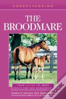 Understanding The Broodmare