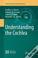 Understanding The Cochlea