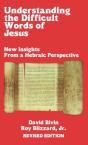 Understanding The Difficult Words Of Jesus - Preview