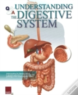 Capa do artigo Understanding The Digestive System Flip Chart