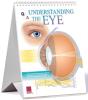 Understanding The Eye Flip Chart - Preview
