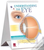 Capa do artigo Understanding The Eye Flip Chart