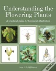 Understanding The Flowering Plants