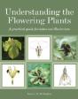 Understanding The Flowering Plants - Preview