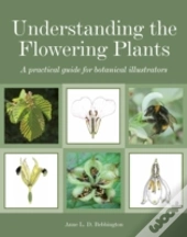 Understanding The Flowering Plants