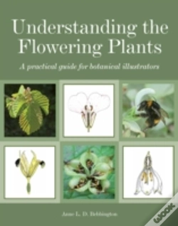Capa do artigo Understanding The Flowering Plants