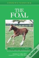 Understanding The Foal