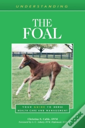 Understanding The Foal