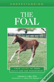 Capa do artigo Understanding The Foal