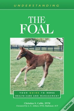 Capa do artigo Understanding The Foal