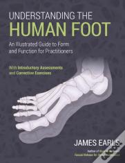 Understanding The Human Foot