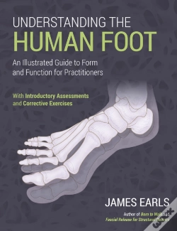 Capa do artigo Understanding The Human Foot