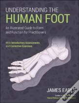 Understanding The Human Foot