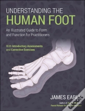Capa do artigo Understanding The Human Foot