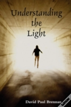 Capa do artigo Understanding The Light