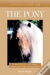 Understanding The Pony