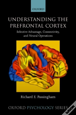 Capa do artigo Understanding The Prefrontal Cortex