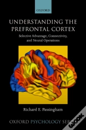 Understanding The Prefrontal Cortex
