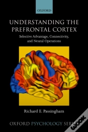 Capa do artigo Understanding The Prefrontal Cortex