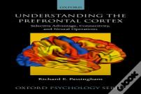 Understanding The Prefrontal Cortex