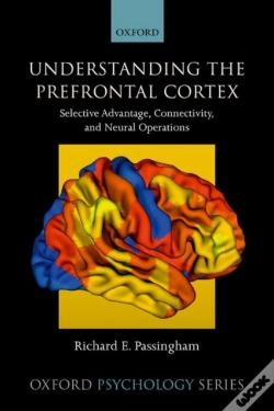 Capa do artigo Understanding The Prefrontal Cortex