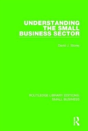 Understanding The Small Business Sector - Preview