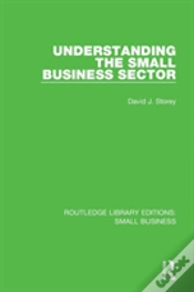 Capa do artigo Understanding The Small Business Sector