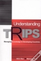 Capa do artigo Understanding Trips
