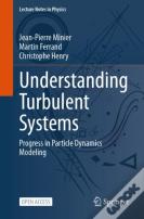 Understanding Turbulent Systems
