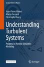 Understanding Turbulent Systems - Preview
