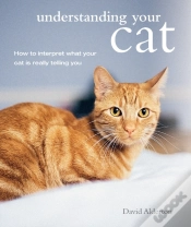 Capa do artigo Understanding Your Cat