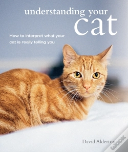 Capa do artigo Understanding Your Cat