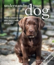 Capa do artigo Understanding Your Dog
