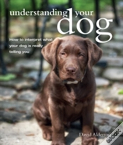 Capa do artigo Understanding Your Dog