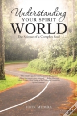 Capa do artigo Understanding Your Spirit World: The Sci